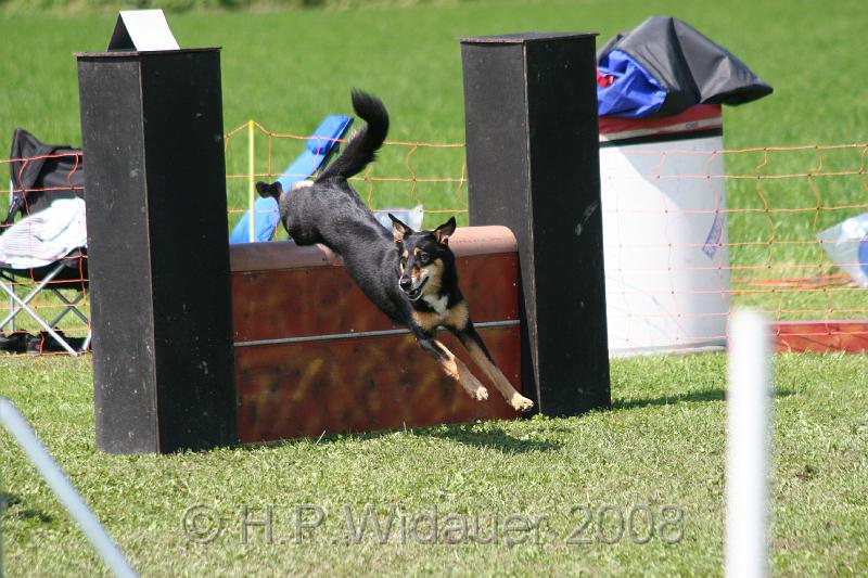 jubil.lusten. 313.jpg